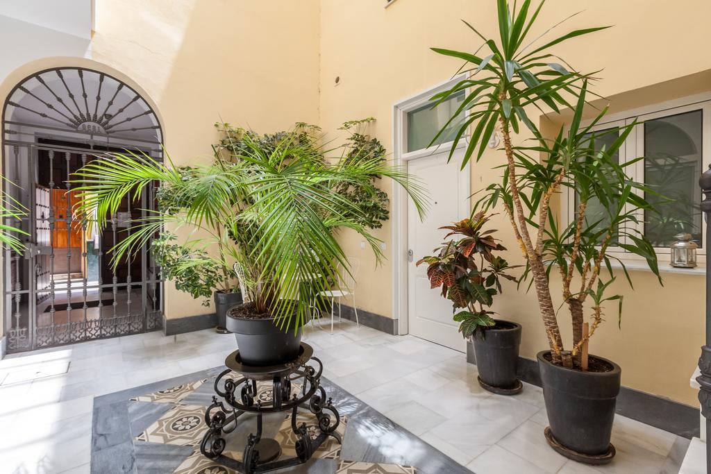 Mariscal Appartement *